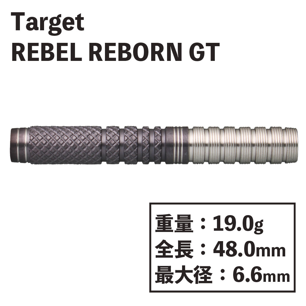 ターゲット レベルリボーン ジーティー ダーツ Target REBEL REBORN GT