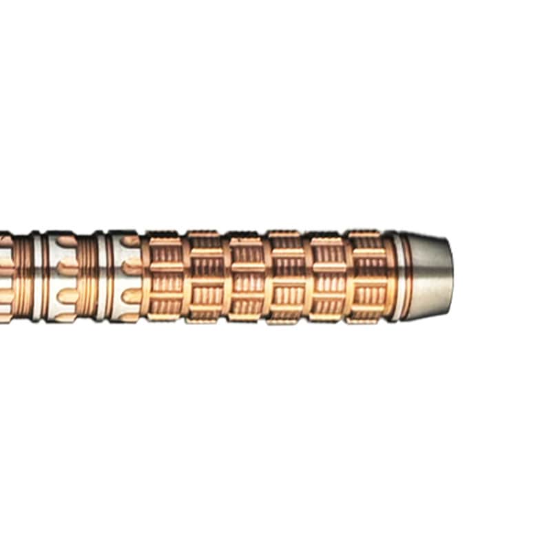 ターゲット ラプター G6 西谷譲二 スイスポイント 24g TARGET RAPTOR
