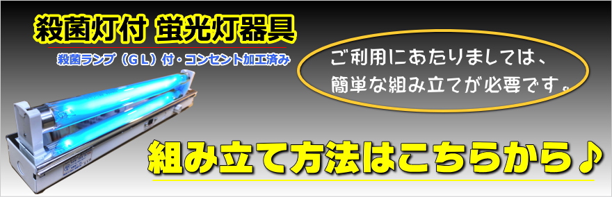 6W殺菌ランプ（GL6）付蛍光灯器具セット・コンセント加工済み（061-C1
