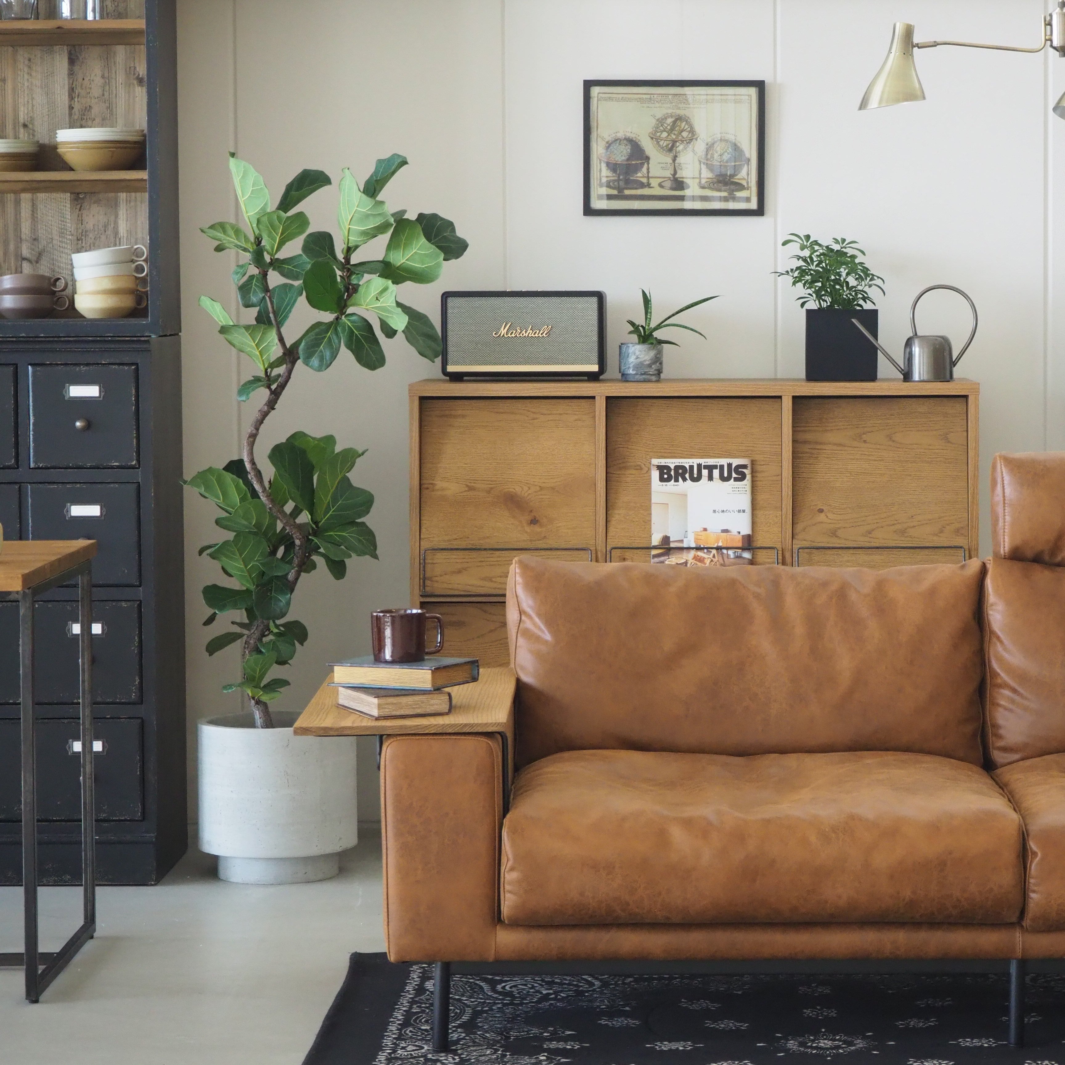 cadeal record rack