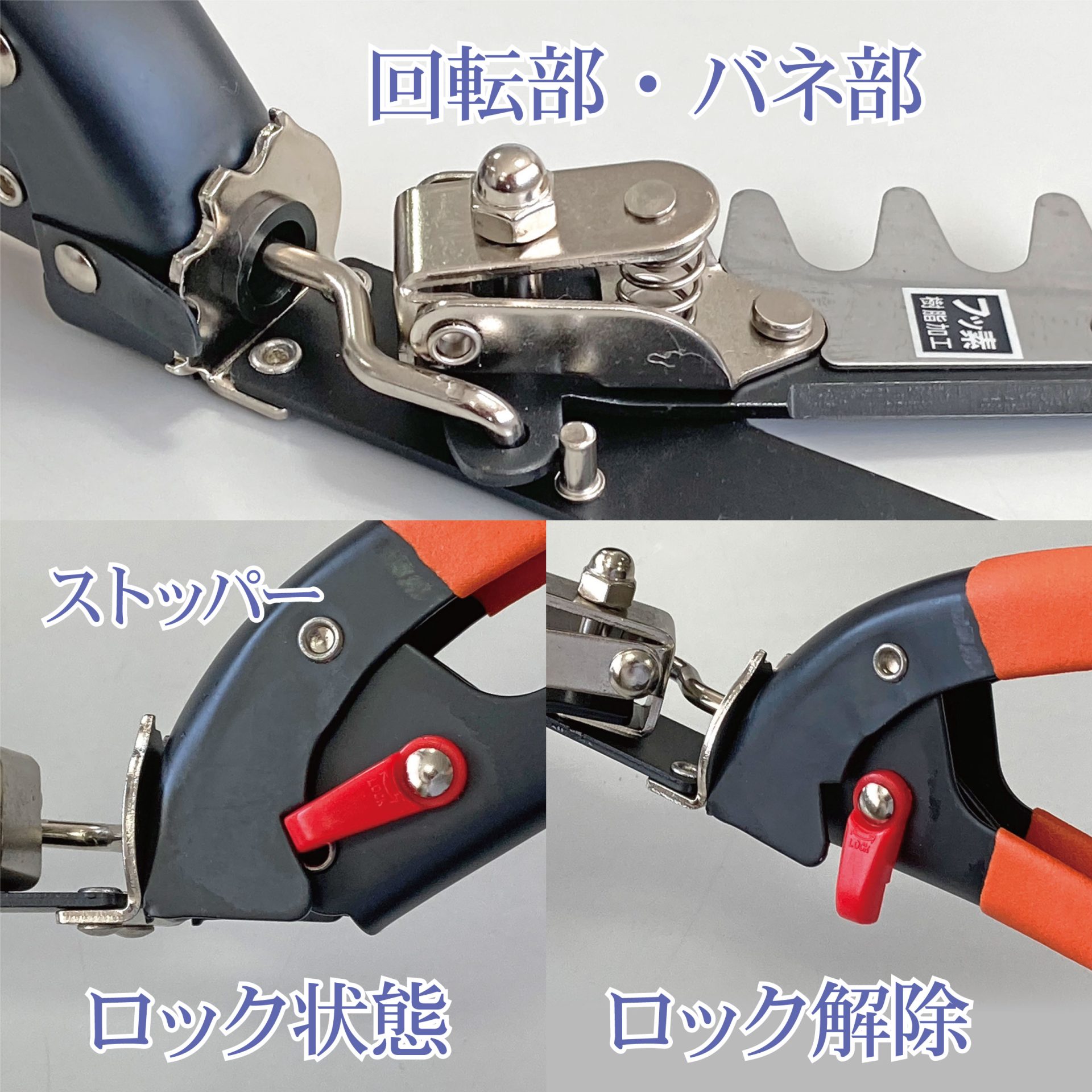 2103 - キンボシ株式会社