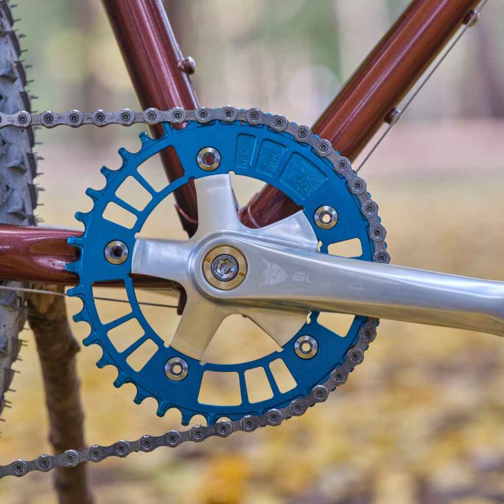 AARN* narrow wide chainring (BL limited teal) - BLUE LUG GLOBAL
