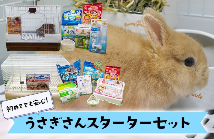 うさぎスターターセットのご紹介｜ valor-navi バローナビ