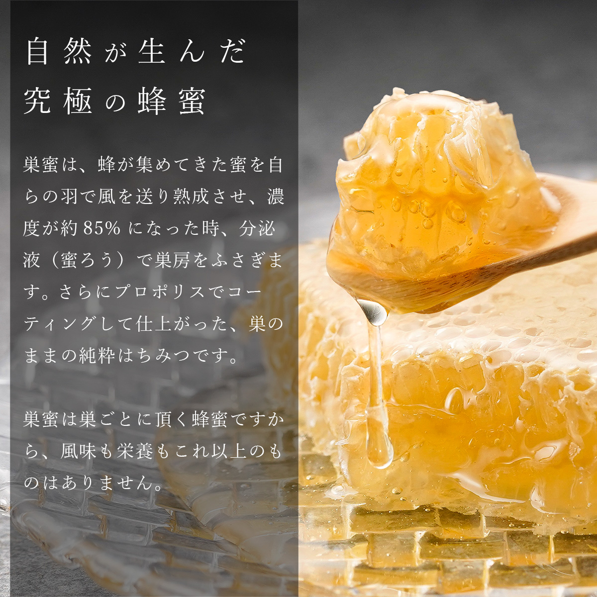 みつばち工房花の道 / 国産純粋極巣みつと花の道蜂蜜 430g×2本 ギフト