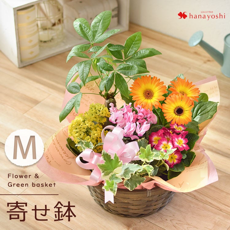送料無料 季節のおまかせ花鉢とグリーンの寄せ入れ Mサイズ フラワー