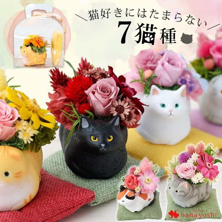 000000000947-01.jpg?size=m&w=