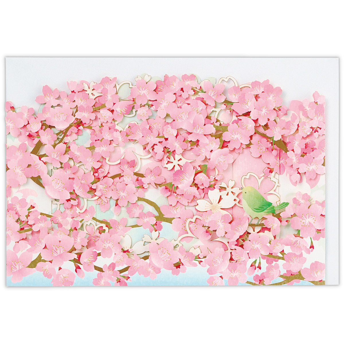 カーブレーザーカット 桜とうぐいす【春柄立体グリーティングカード