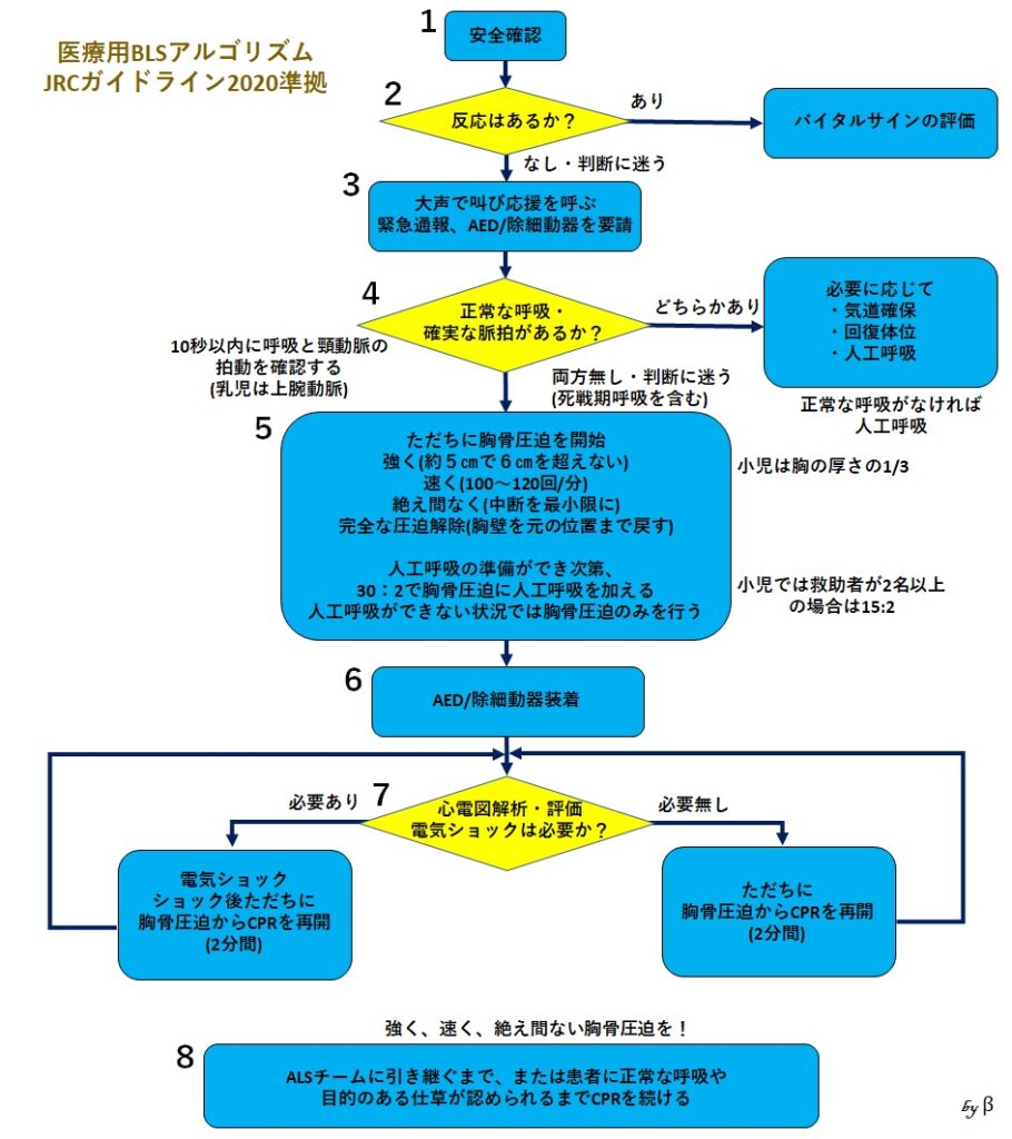 BLS(一次救命処置)を掘り下げる – SEATコース