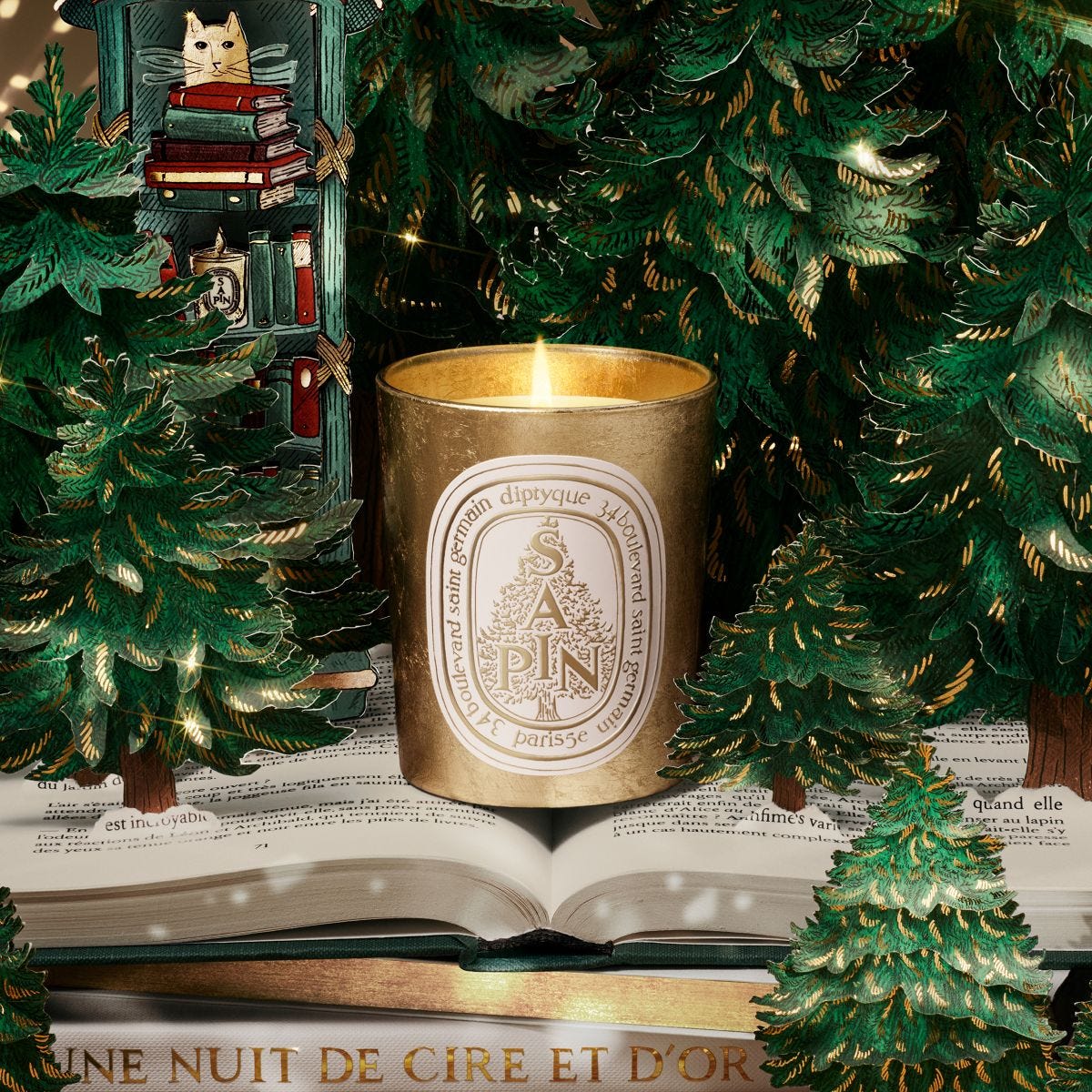 diptyque2-691202977bd07.jpg