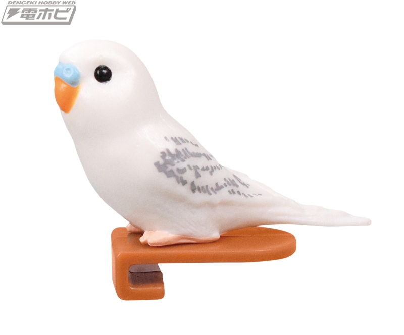 愛らしいインコをみつめてカップ麺を待とう♪ターリン