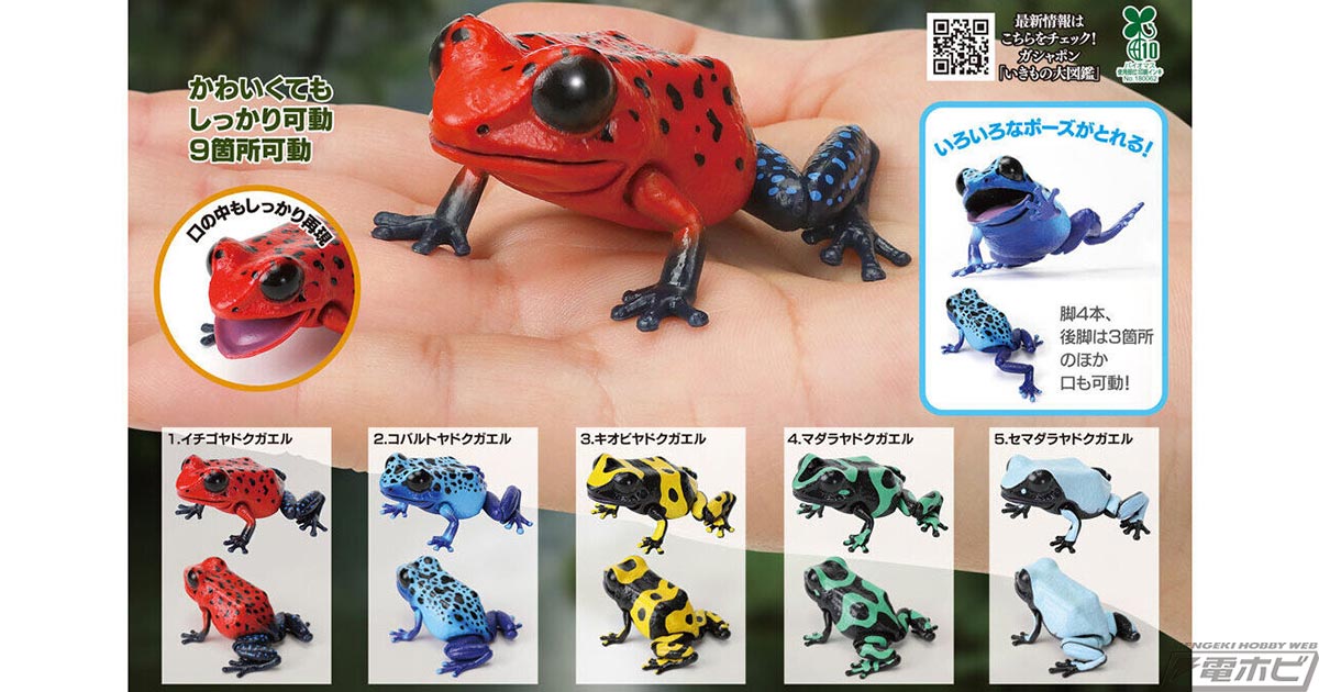 ヤドクガエルを収録したガシャポンフィギュア「いきもの大図鑑レプティ