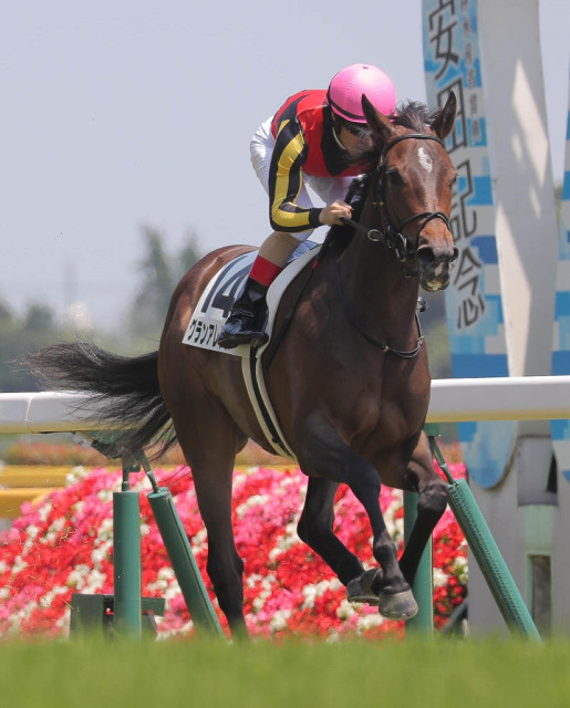 東京新馬戦】ルメール騎手×藤沢和厩舎のグランアレグリアが快勝