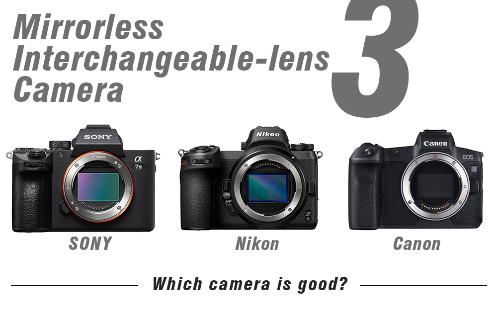 主要3メーカー「SONY α7Ⅲ」と「Nikon Z6」「Canon EOS R」をサクッと