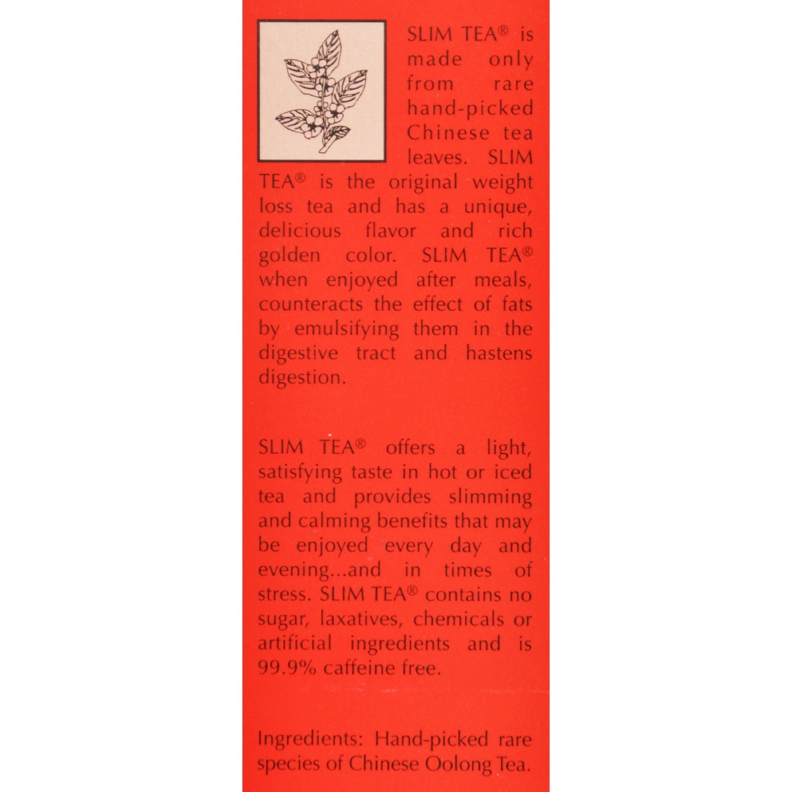 Hobe Labs Original Slim Tea - 24 Bags - Walmart.com