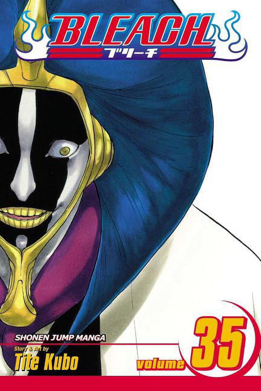 Bleach Bleach, Vol. 71, (Paperback) - Walmart.com