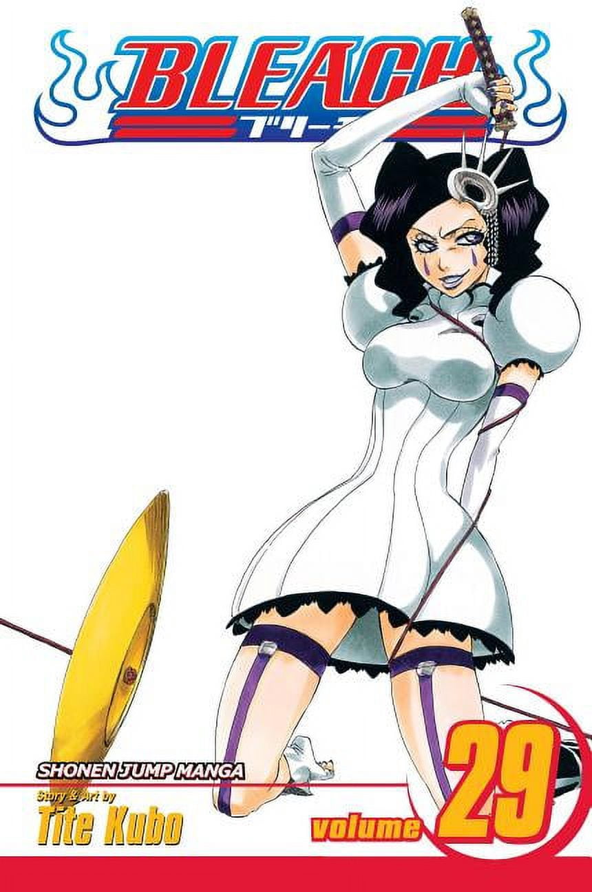 Bleach Bleach, Vol. 71, (Paperback) - Walmart.com