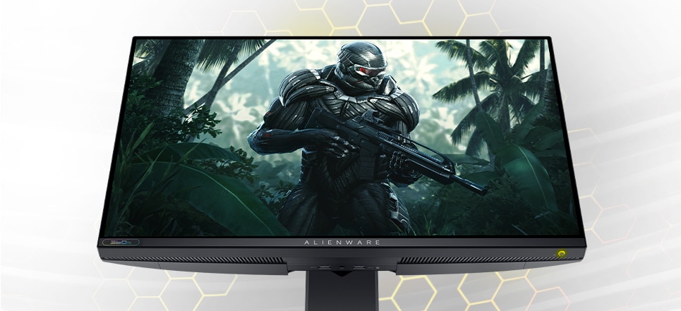 Alienware 25インチ ゲーミング モニター - AW2521H | Dell 日本
