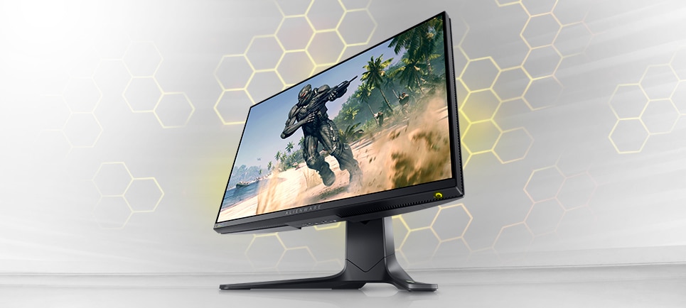 Alienware 25インチ ゲーミング モニター - AW2521H | Dell 日本