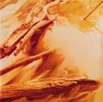 Windy & Carl – Depths | Releases | Discogs