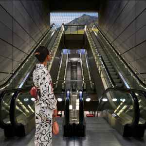 猫 シ Corp. – Palm Mall Mars | Releases | Discogs