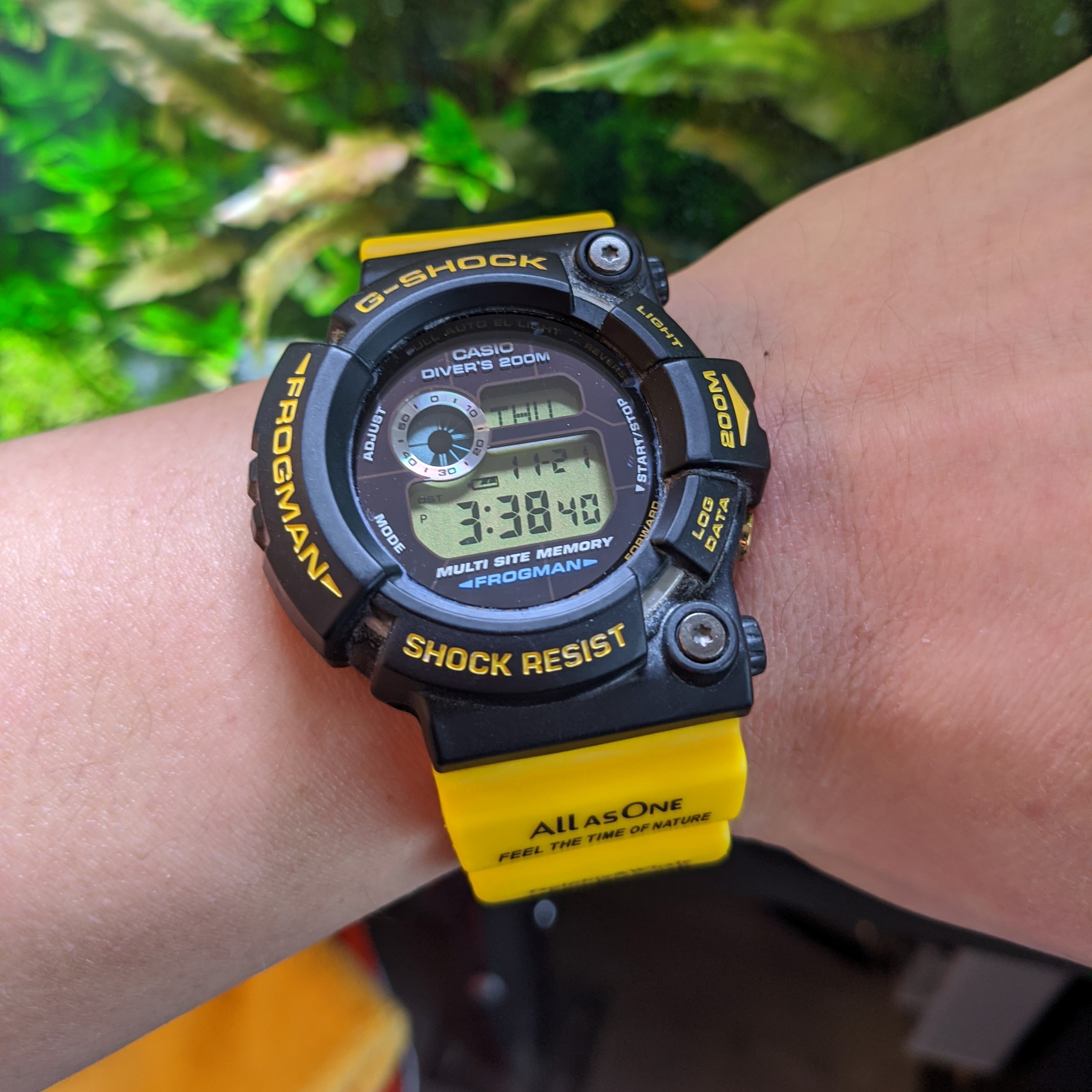 Casio] G-Shock Frogman Dolphin & Whale GW-204K-9JR : r/Watches