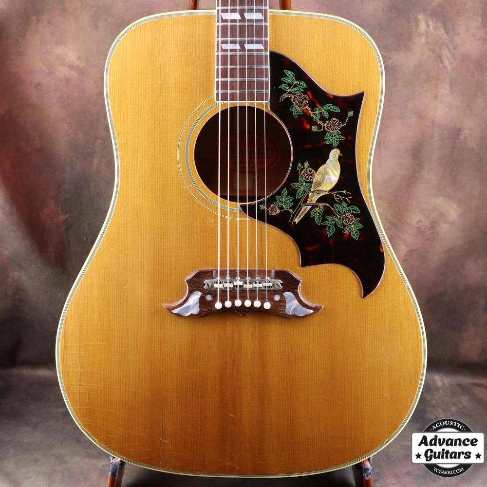 Gibson Dove | ダヴの歴史と仕様解説