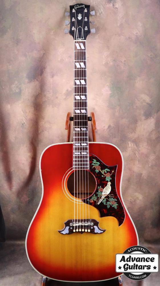 Gibson Dove | ダヴの歴史と仕様解説