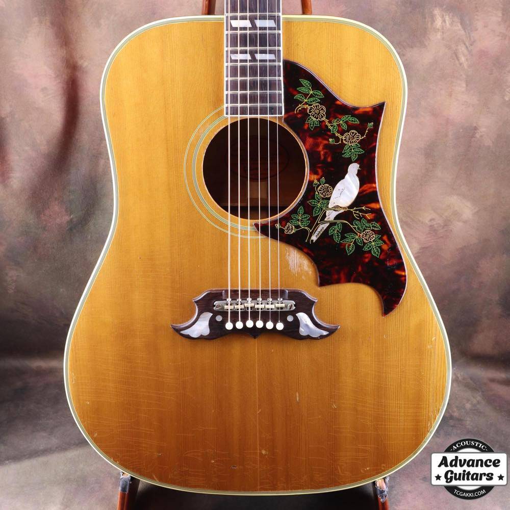 Gibson Dove | ダヴの歴史と仕様解説
