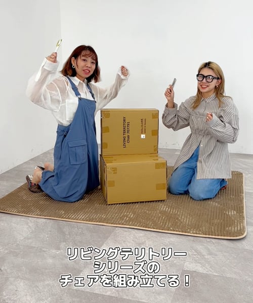 幅45cm］チェア/リビングテリトリーシリーズ【大型家具】 | [公式