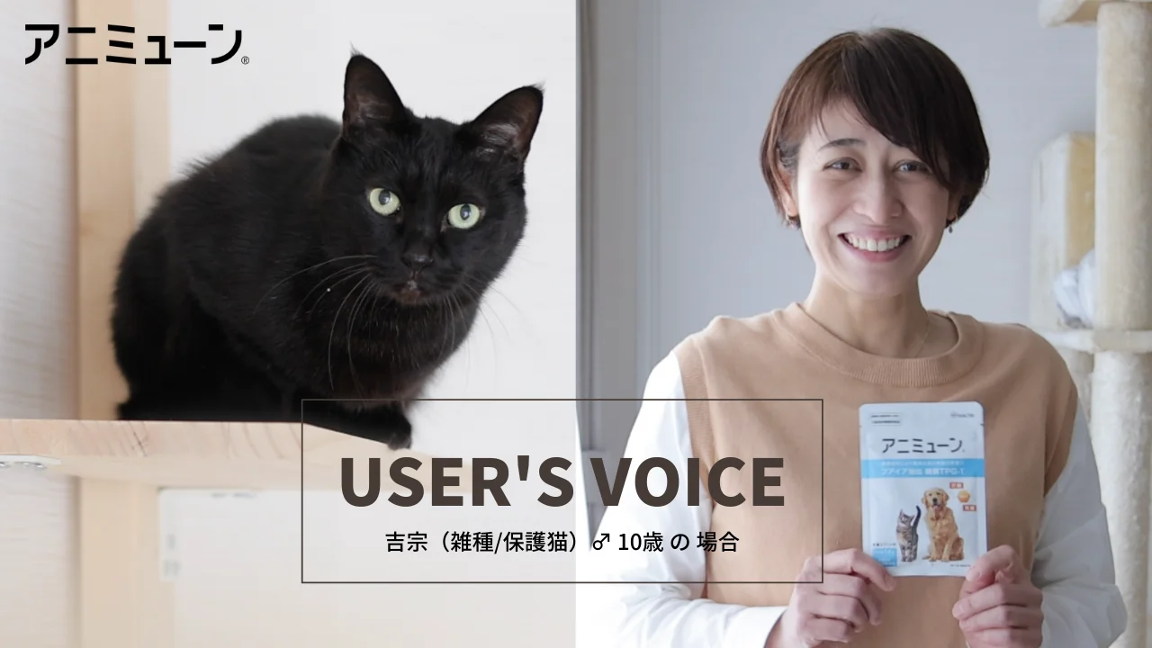 アニミューン®｜フアイア抽出 糖鎖TPG-1配合 動物医療機関専用品｜HACHI