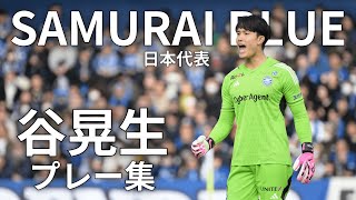クラブ史上初】SAMURAI BLUE選出!! 谷晃生選手 プレー集 - YouTube