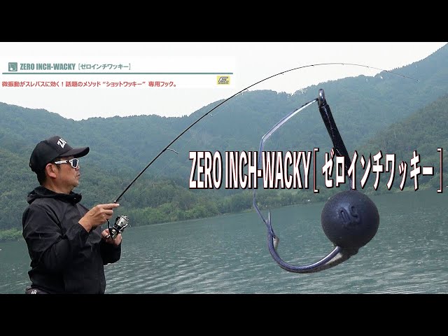 6月の琵琶湖・北湖 で数釣り!? ｜ ZERO INCH-WACKY [ゼロインチ