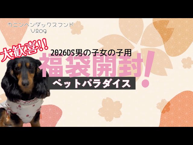 2026ペットパラダイス福袋DSサイズ男の子用女の子用開封してみました