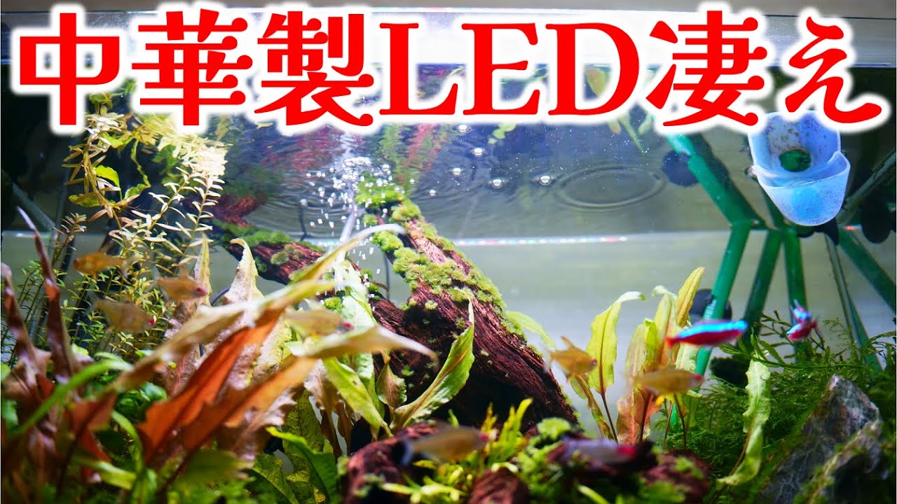 I tried out some cheap Chinese LEDs [Aquarium] - YouTube