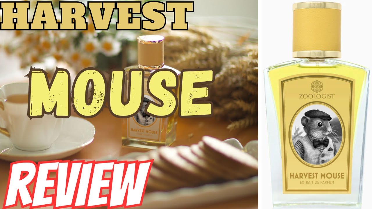 Zoologist: HARVEST MOUSE Review - YouTube