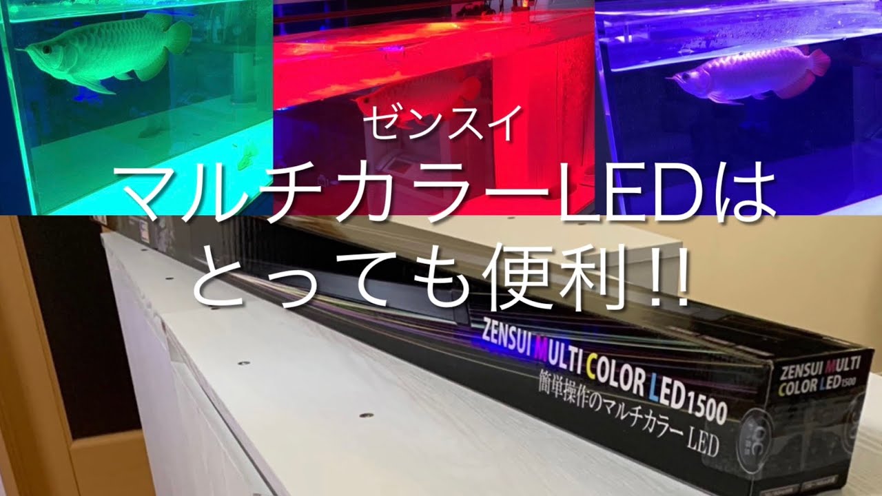 hq720.jpg?sqp=-