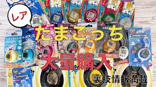 買ったまご】レア品や裏技情報満載⁉️7月購入たまごっち - YouTube