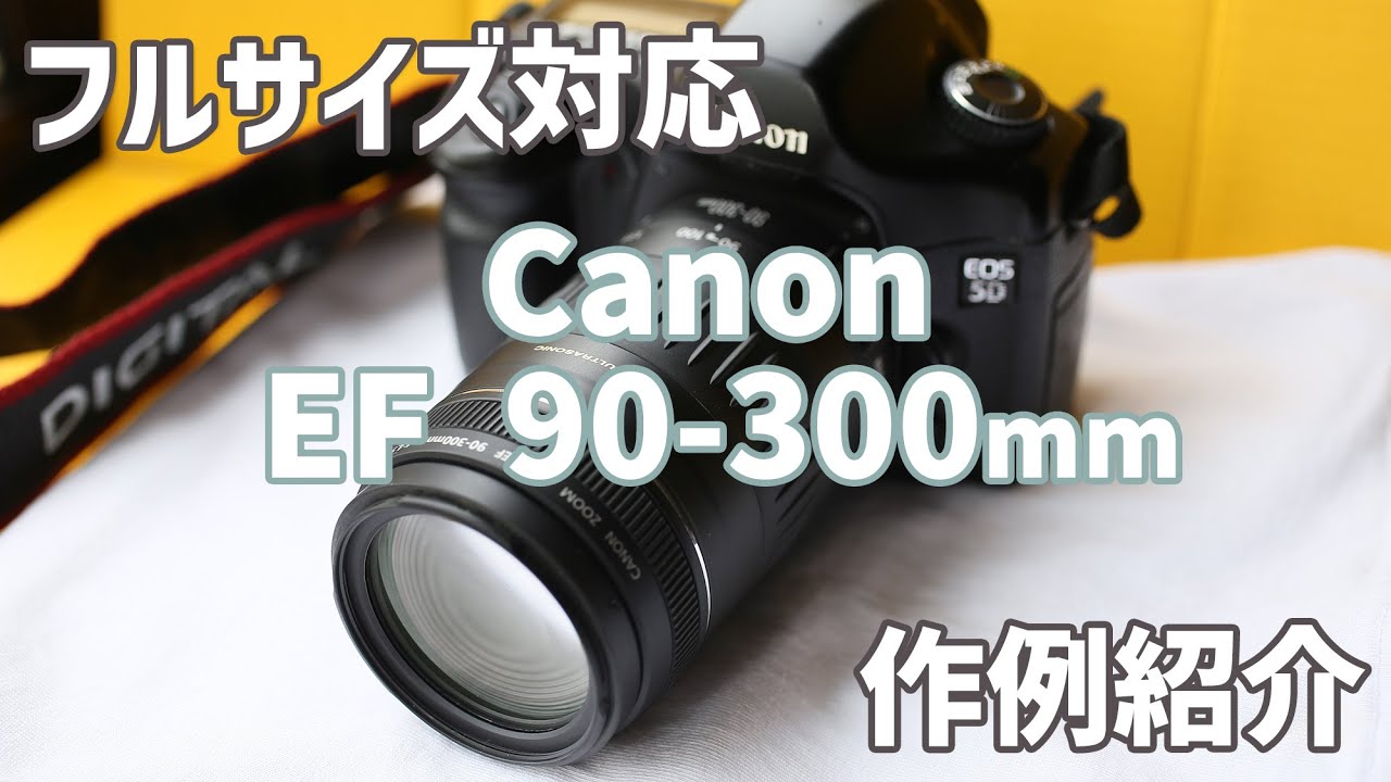 hq720.jpg?sqp=-