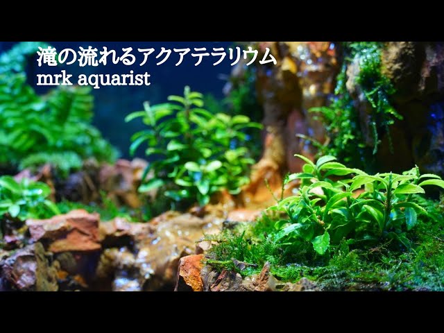 滝の流れるアクアテラリウムを作る【Part104】30cmキューブ 【メダカ