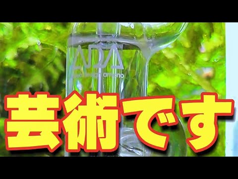 ADA 水草水槽 co2 ビートルカウンター カボーション・ルビー