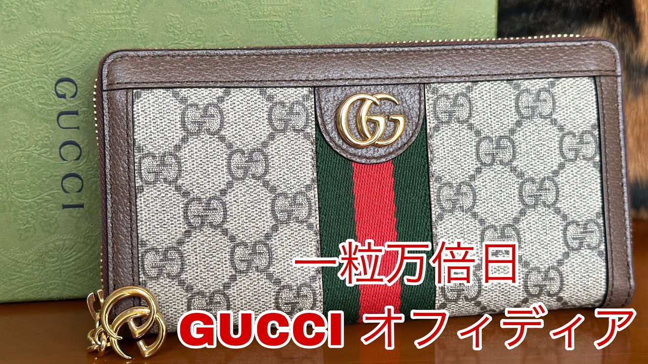 本日一粒万倍日 GUCCI オフィディア GGジップアラウンドウォレット