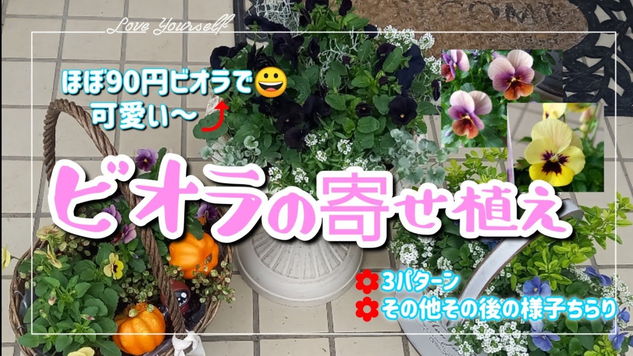 hq720.jpg?sqp=-