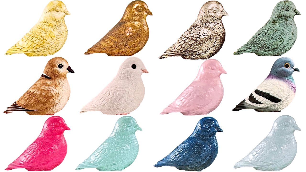Pigeon Imagination-Mix Figure 