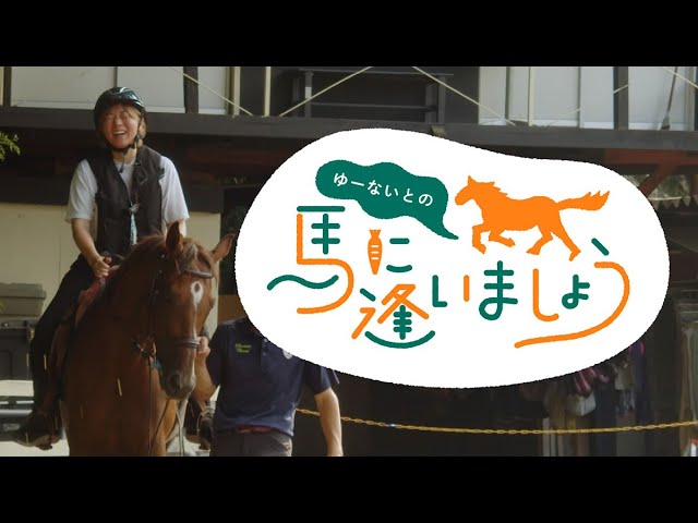 馬に逢いましょう vol.001まるちゃん（埼玉エルミオーレ） - YouTube