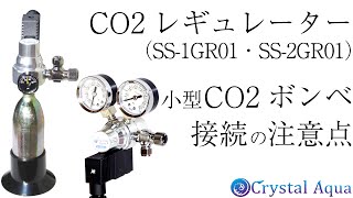 CO2レギュレーターシンプルタイプ SS-1GR01 / スピードコントローラー
