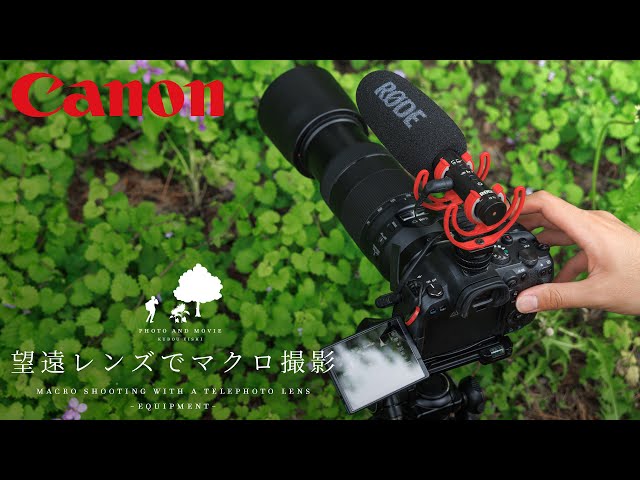 EOS R6・EF70-300mm F4-5.6 IS II USM】 Macro photo using a