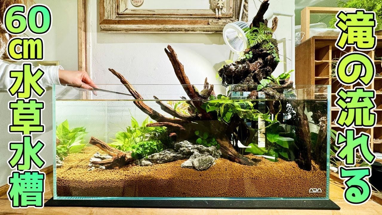 Aquarium] A waterfall-style aquarium made with a 60cm aquarium