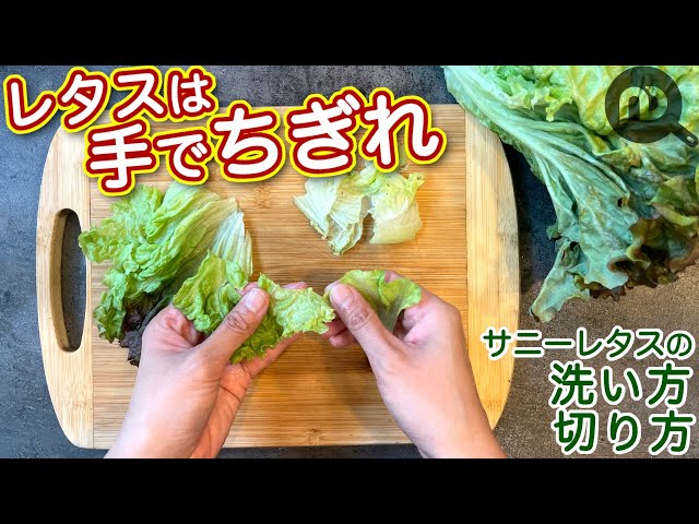 サニーレタスの洗い方と切り方 N.D.Kitchen Basic - YouTube