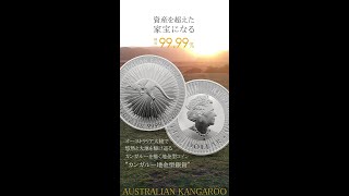 オーストラリア 2023 カンガルー 1ドル 1オンス 銀貨 【250枚