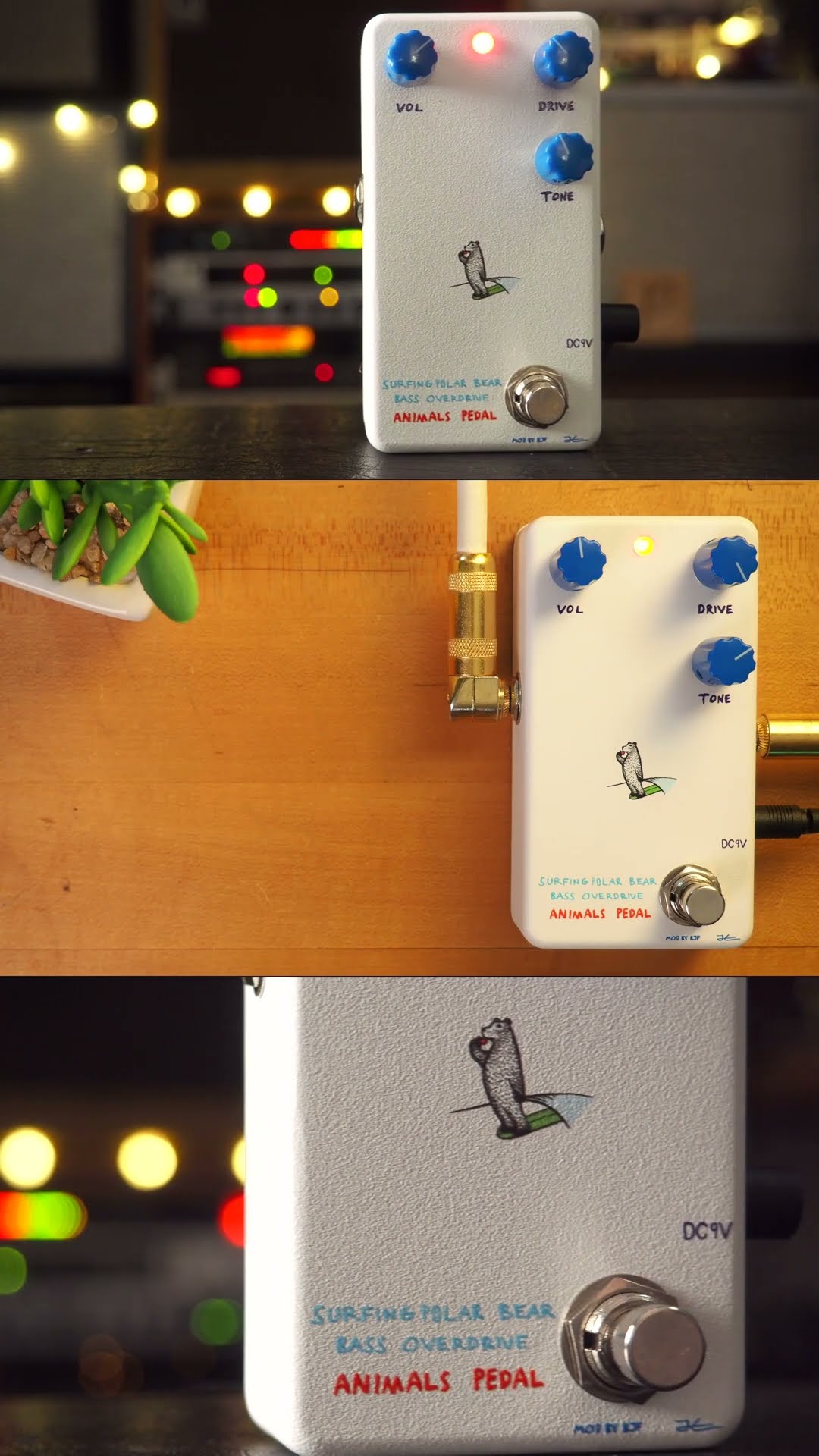 ベース ANIMALS PEDAL SURFING POLAR BEAR BASS Animals Pedal